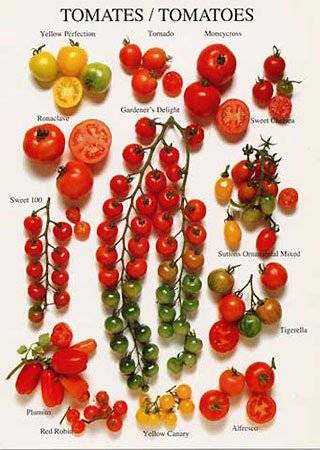 Préparez les légumes correctement et maintenez le goût La